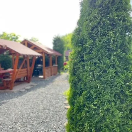 Popas Turistic Luoana Konukevi